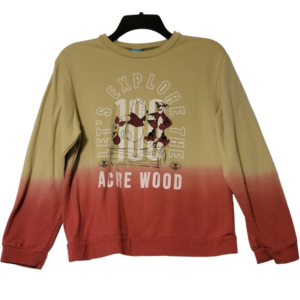 Disney Acre Wood Ombre Sweatshirt Winnie the Pooh Graphic Long Sleeve Top‎